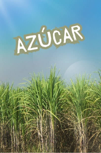 Azúcar